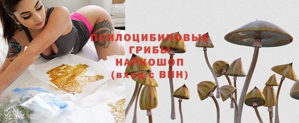 мяу мяу мука Аркадак