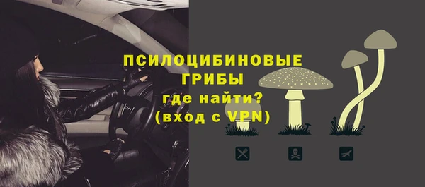 мяу мяу мука Аркадак