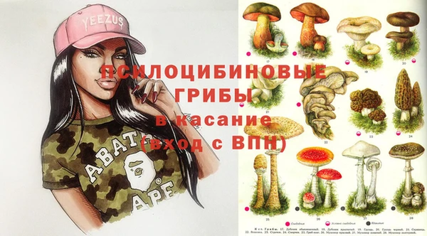трава Армянск
