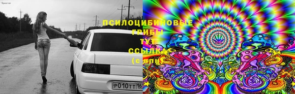 мяу мяу мука Аркадак
