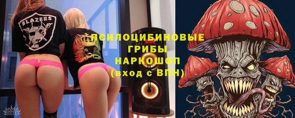 мяу мяу мука Аркадак